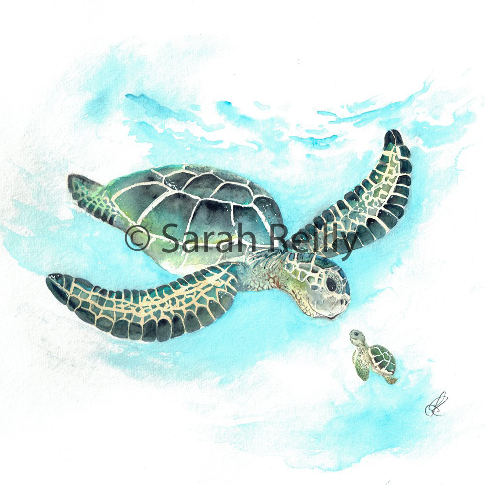 Turtle Tail by Sarah Reilly, Suffolk Artist, Love Country by Sarah Reilly