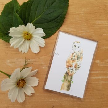 Barn Owl Magnet