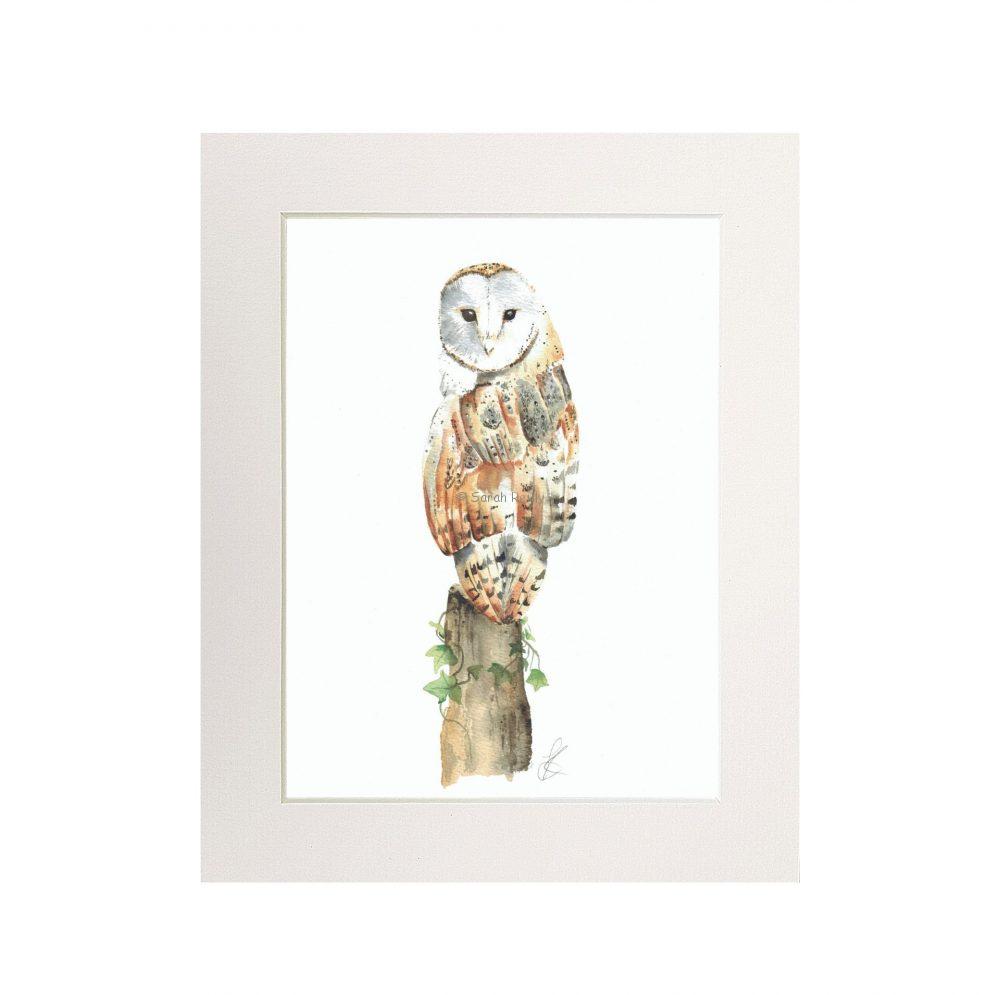Barn Owl Print (Portrait)