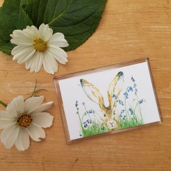 Curious Hare Magnet