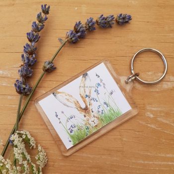 Curious Hare Keyring