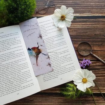 Hurry Scurry Bookmark