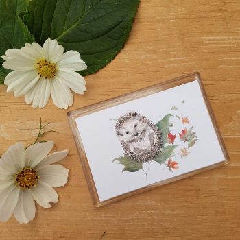 Mr Prickles Hedgehog Magnet