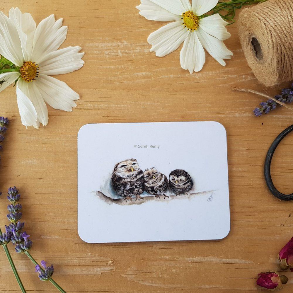Sleepy Little Owls Coaster