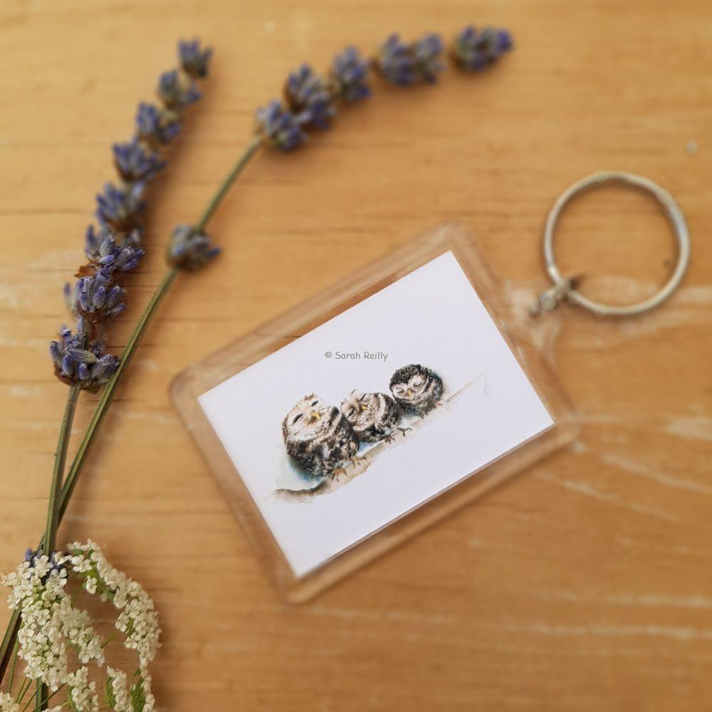 Sleepy Little Owls Keyring
