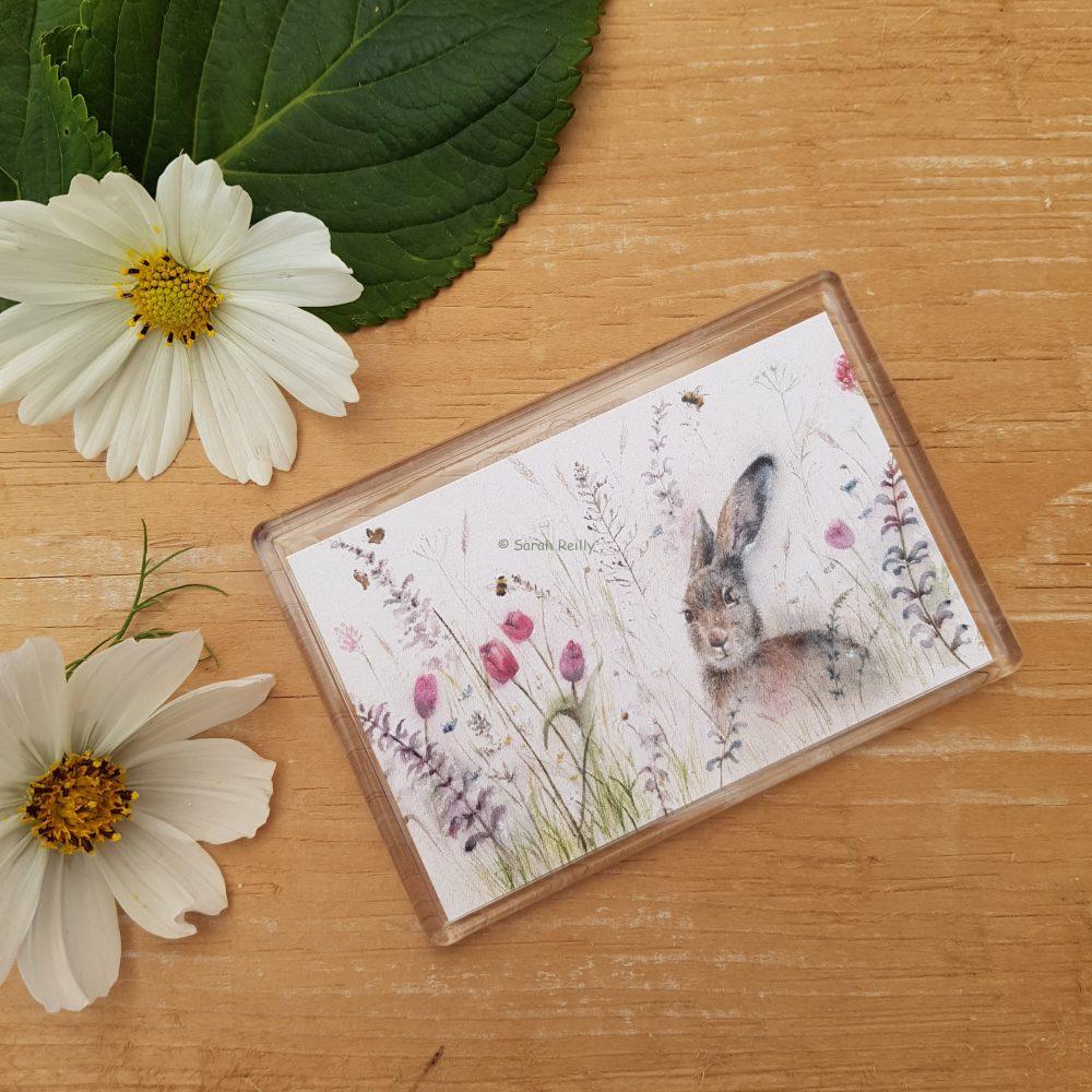 Spring is Hare Magnet