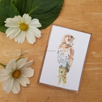 Tawny Owl Magnet