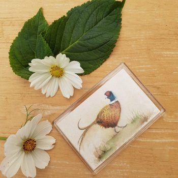 The Gentle Pheasant Magnet