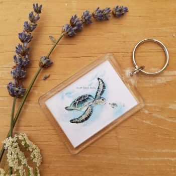 Turtle Tale Keyring