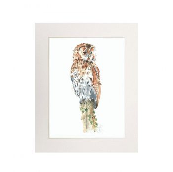 Tawny Owl Print (Portrait)