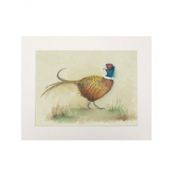 The Gentle Pheasant Print (Landscape)