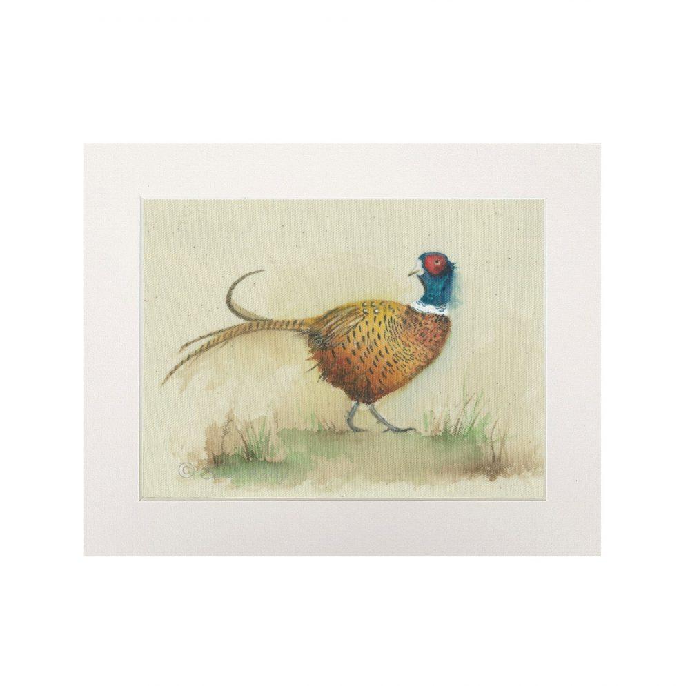 The Gentle Pheasant Print (Landscape)