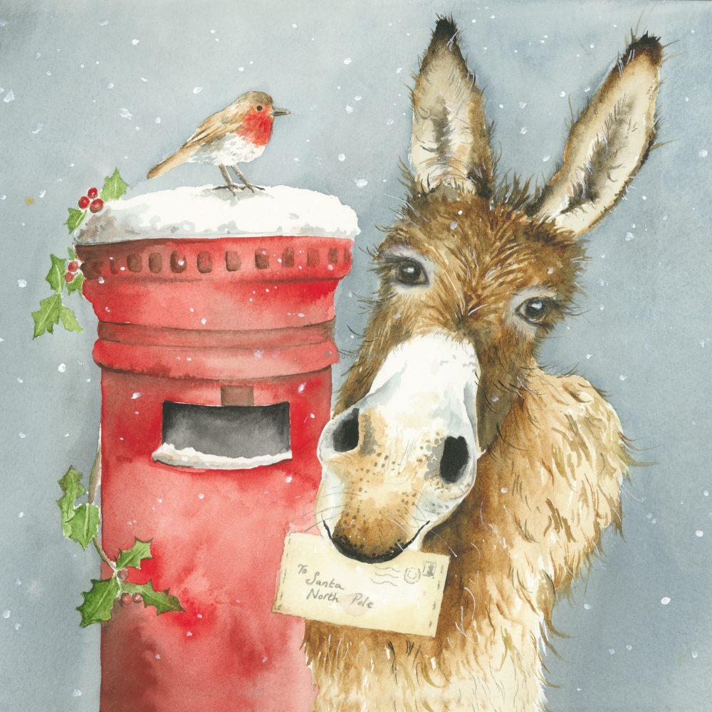 Donkey's Wish Canvas Print