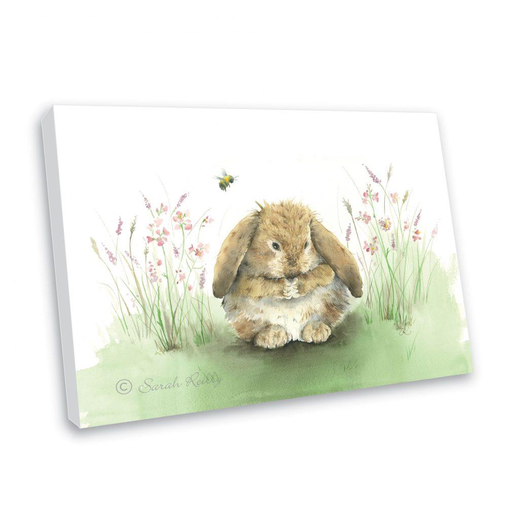 Honey Bunny Canvas Print