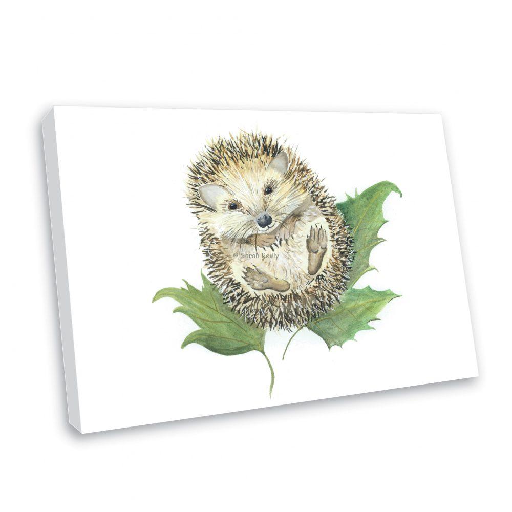 Mr Prickles Hedgehog Canvas Print