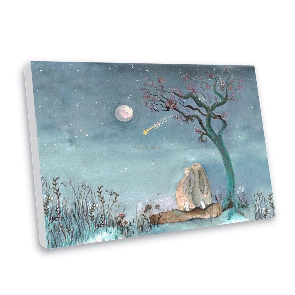 Stars and Dreams Canvas Print
