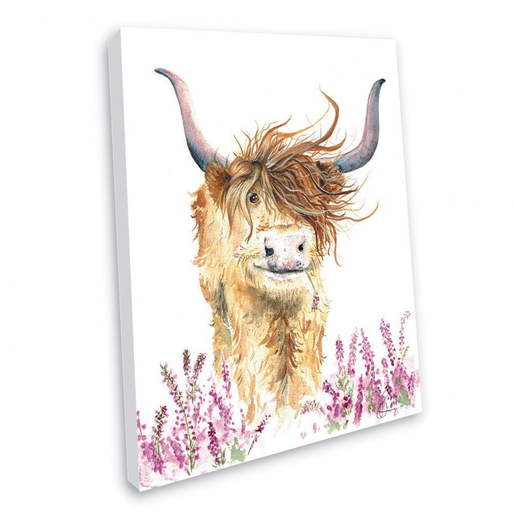 Highland Harriet Canvas Print
