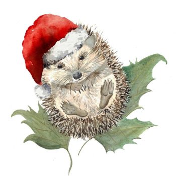Mr Prickles Christmas Party