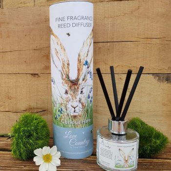 Fine Fragrance Reed Diffusers