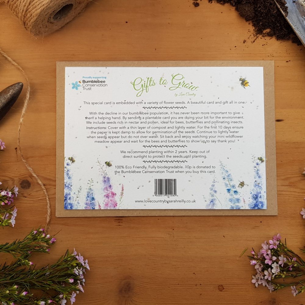 Badger and Bee Plantable Seed Card - Image 2