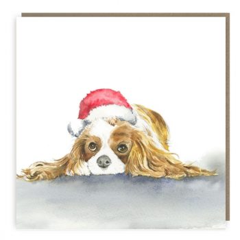 Christmas Dog Charity Cards