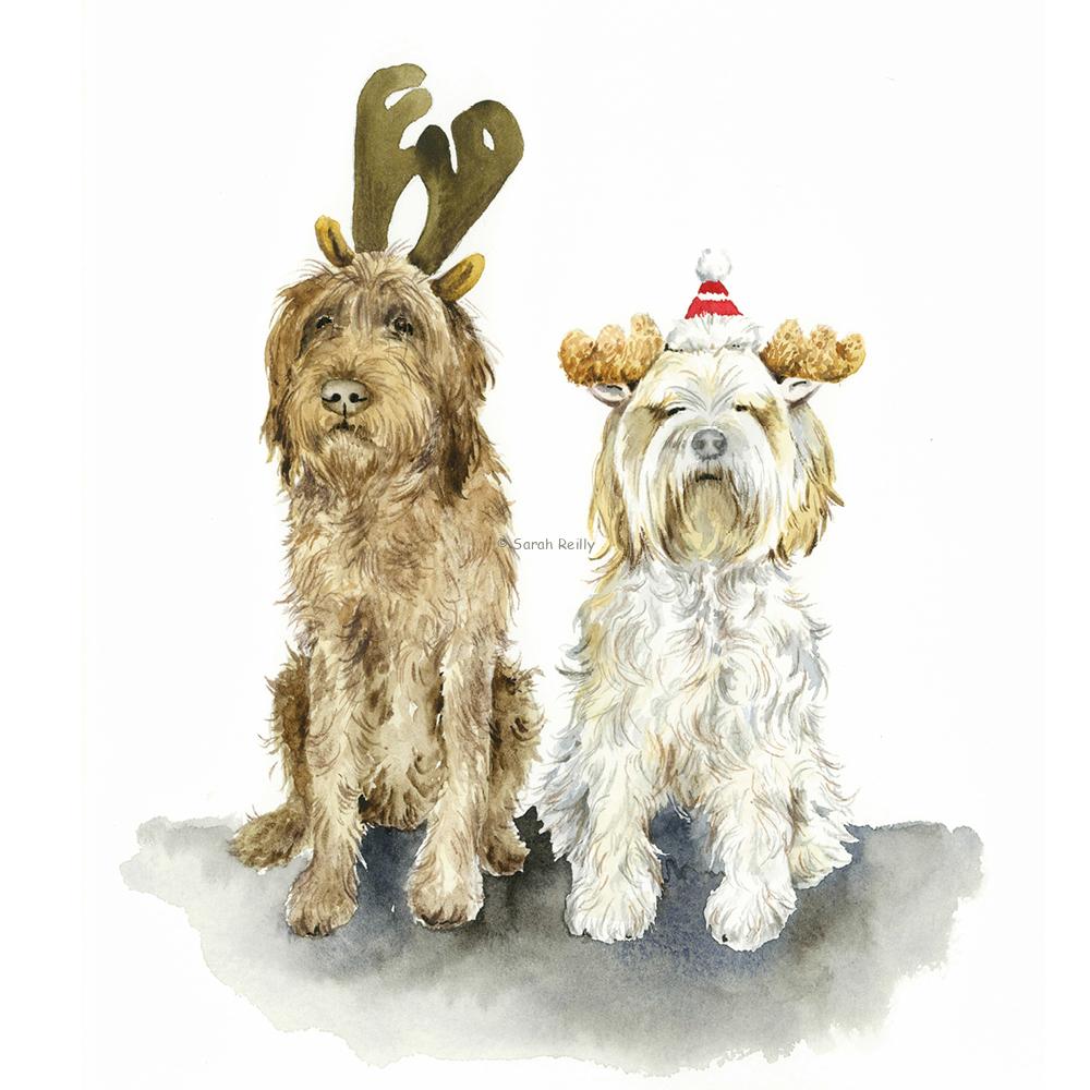 Posing for Treats Paw Prints Greeting Card