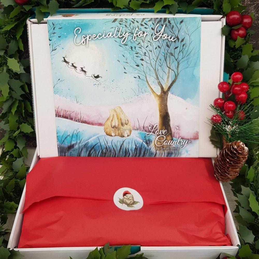 Luxury Christmas Through The Door Gift Box