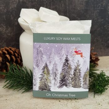 Christmas Aroma Wax Melts