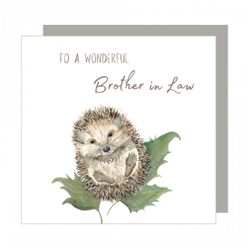 Wonderful Brother in Law Relation Card