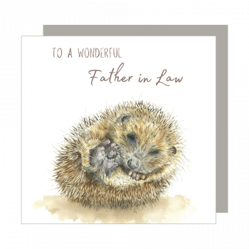 Wonderful Father in Law Relation Card