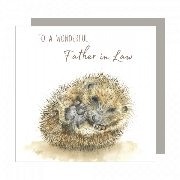 Wonderful Father in Law Relation Card