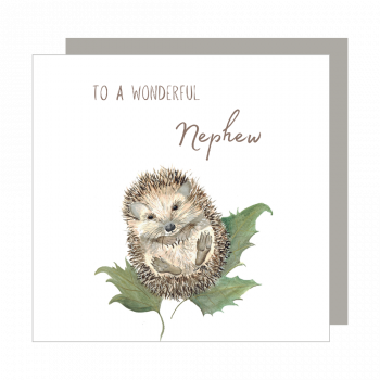 Wonderful Nephew Relation Card