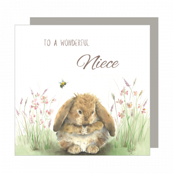 Wonderful Niece Relation Card