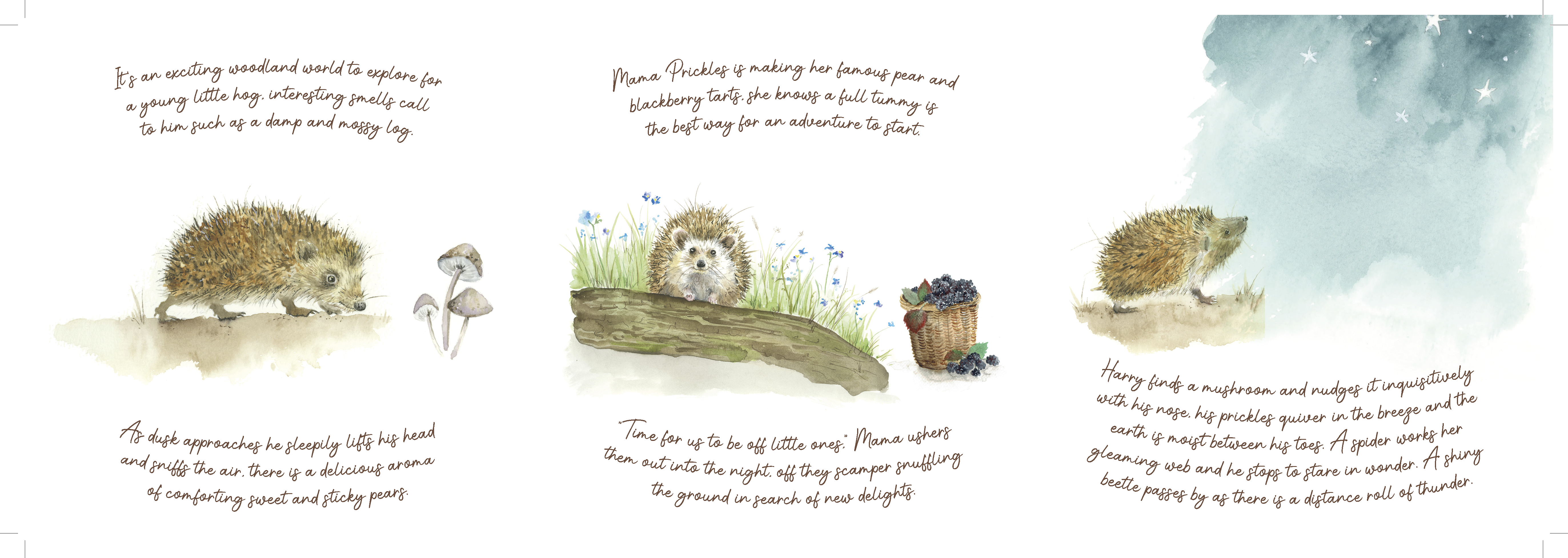 Tiny Tale of Little Hedgehog Extending Card - Image 4