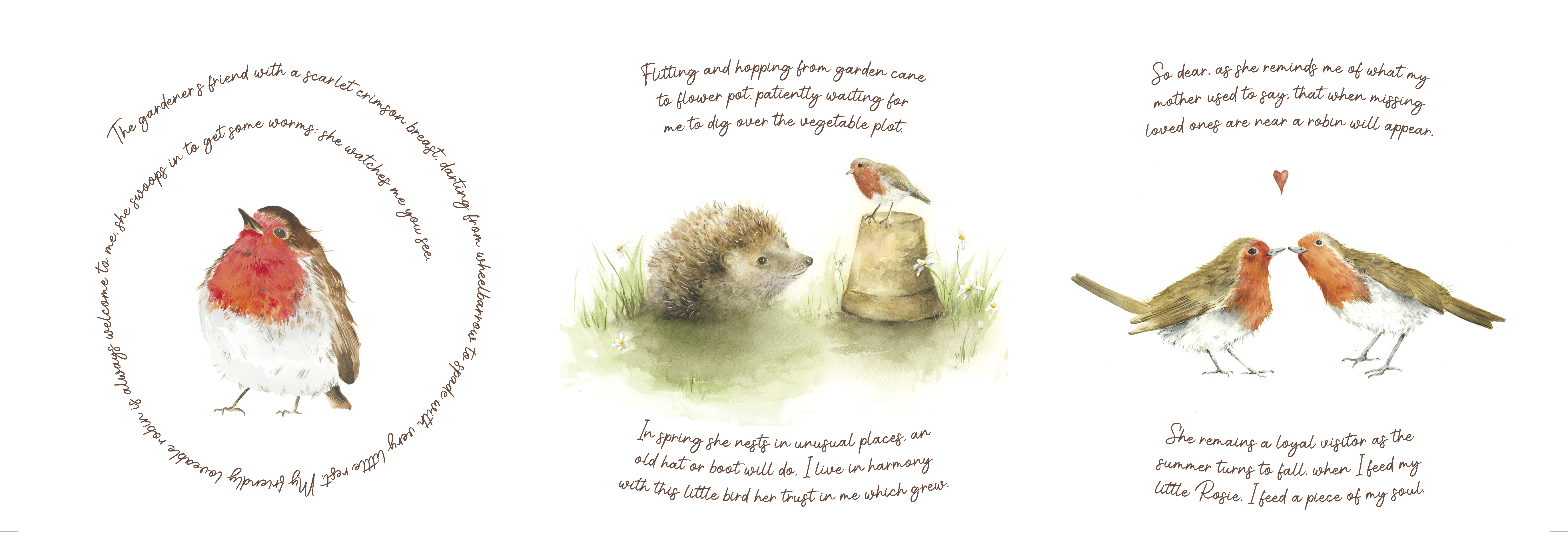 Tiny Tale of Rosie Robin Extending Card - Image 4