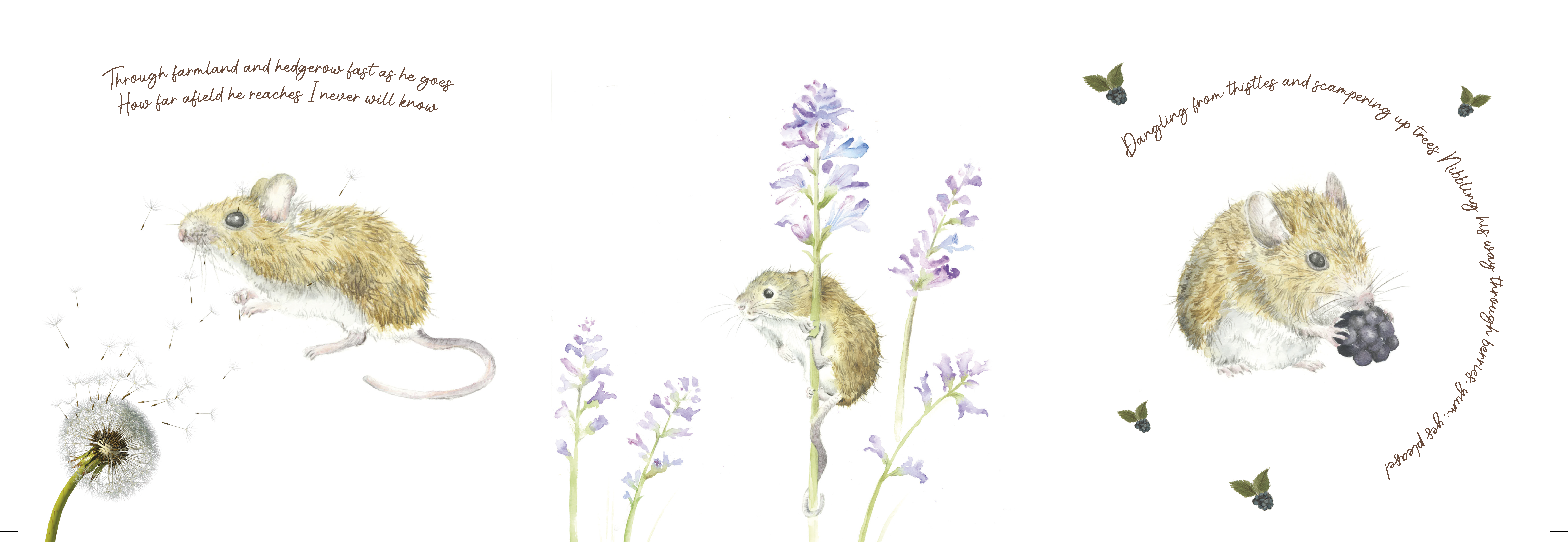 Tiny Tale of The Wishing Mouse Extending Card - Image 5