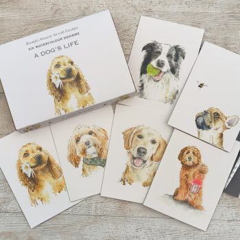 A Dog's Life Boxed Notecard Set