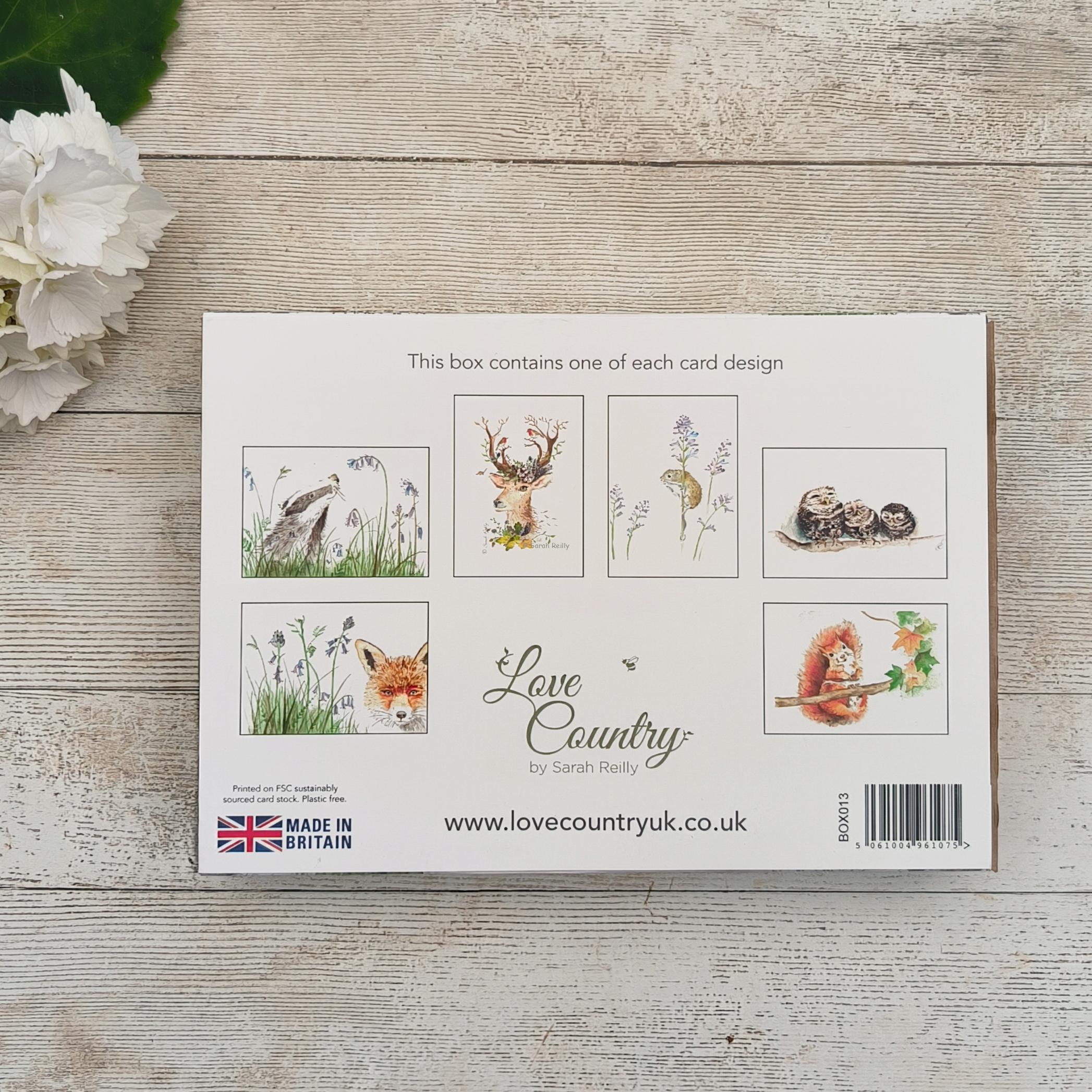 Into The Woods Boxed Notecard Set - Image 3