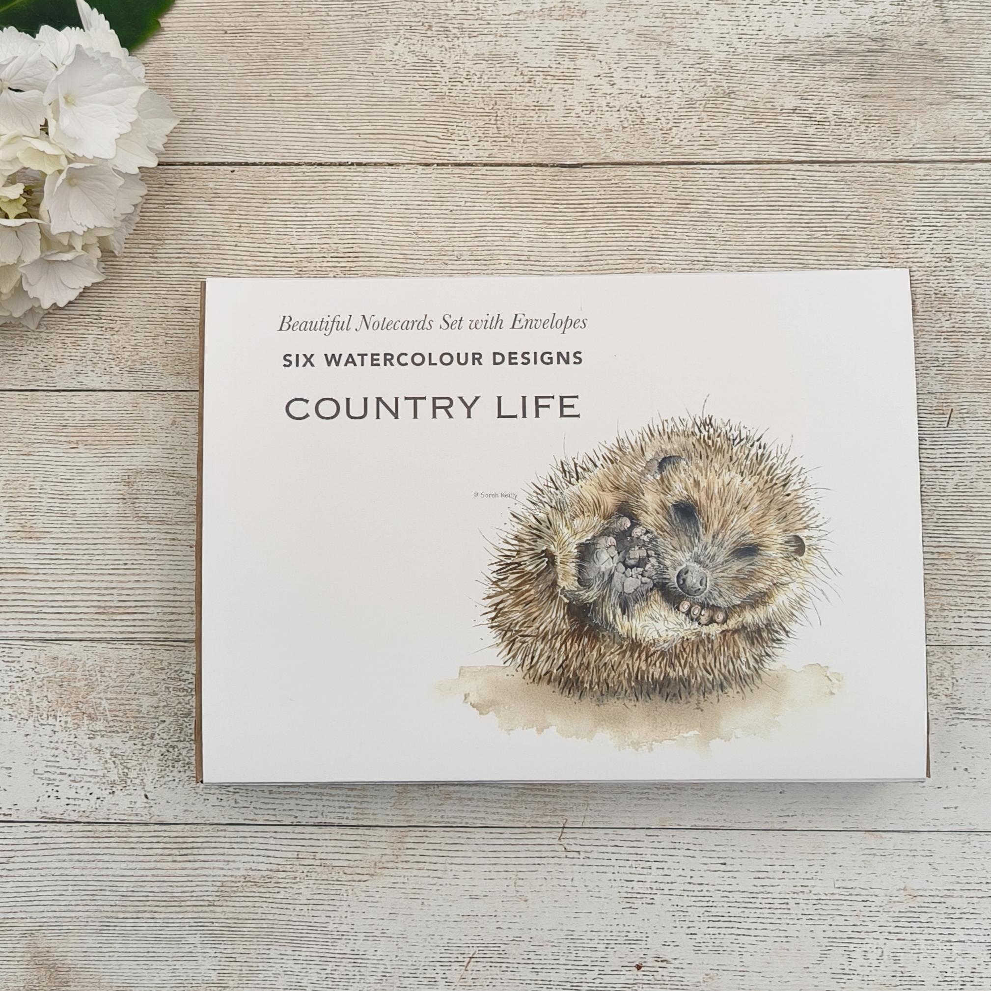 Country Life Boxed Notecard Set - Image 2