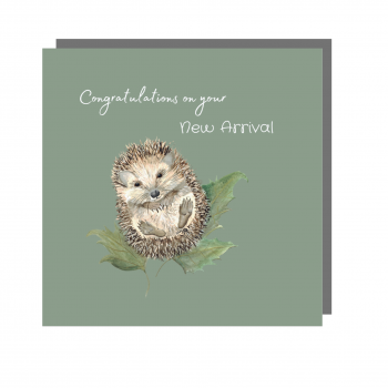 New Arrival Hedgehog Card