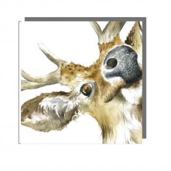 Stag Shoot Selfie Greeting Card