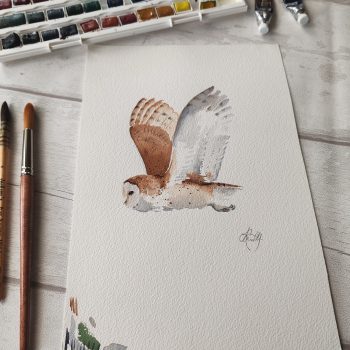 Flying Barn Owl - Original Artwork