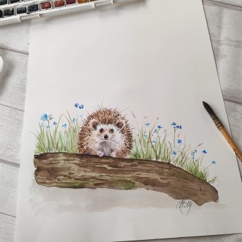 Hedgehog - Original Artwork