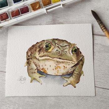 Mr Toad - Original Artwork