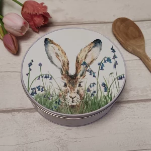 curious hare