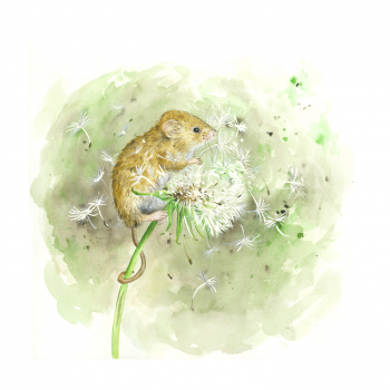 "Make a wish" Small Round Keepsake Tin