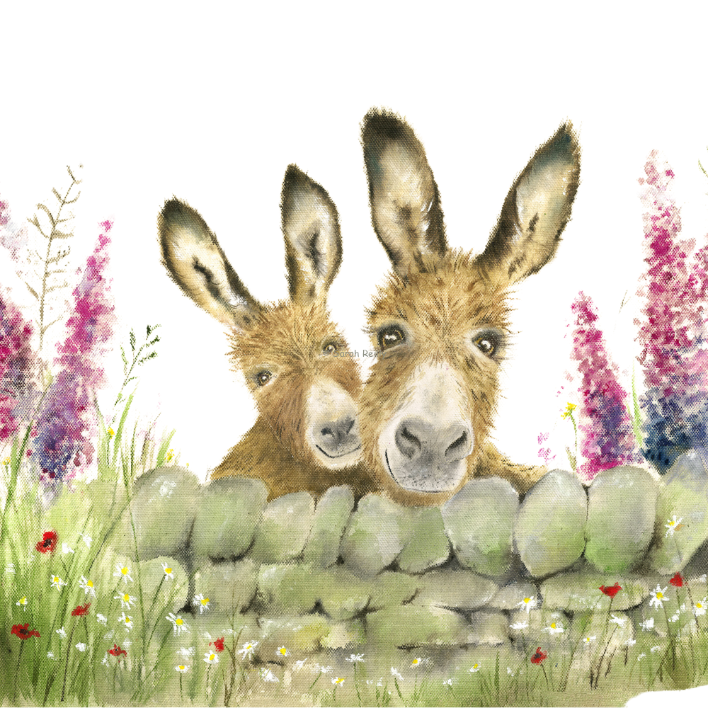 "Pip & Poppy Donkeys" Small Round Keepsake Tin