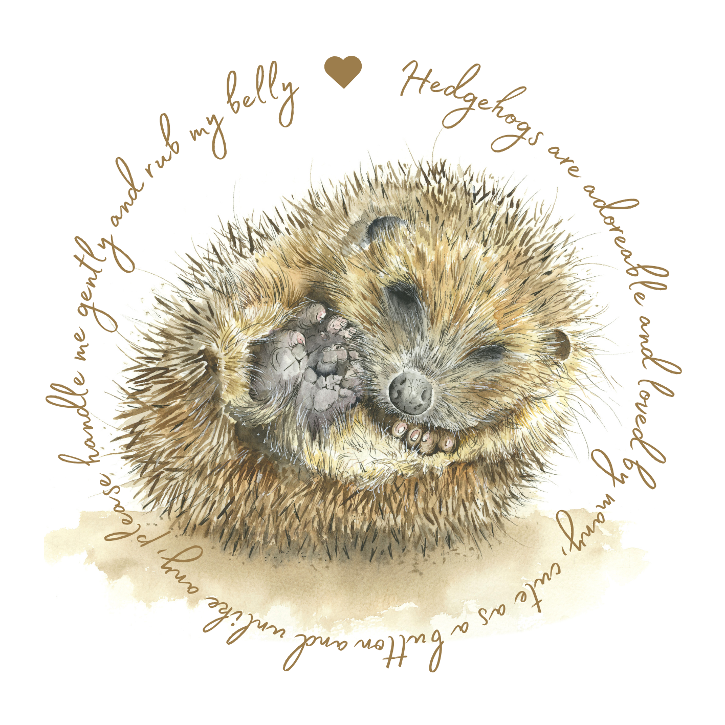 "40 winks hedgehog" Small Round Keepsake Tin