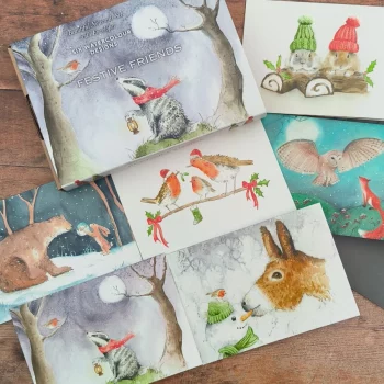 Boxed Cards Set