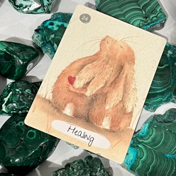 Oracle Cards